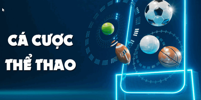 Hướng Dẫn Tham Gia Thể Thao 11Bet Dễ Dàng Tận Hưởng Thú Vui 3 Ra mắt trên nhiều nền tảng trực tuyến